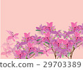 Azalea flowers  hand drawn watercolor 29703389