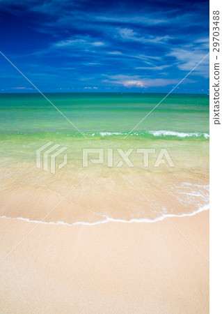 tropical beach tropical beach 29703488