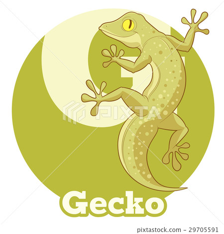 ABC Cartoon Gecko 29705591