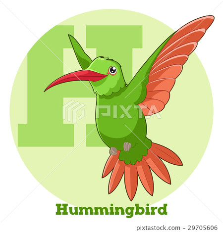 ABC Cartoon Hummingbird ABC Cartoon Hummingbird 29705606