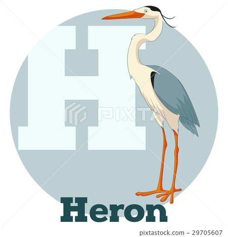 ABC Cartoon Heron ABC Cartoon Heron 29705607