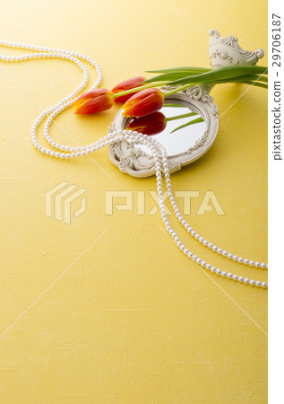 Kagami和郁金香 29706187