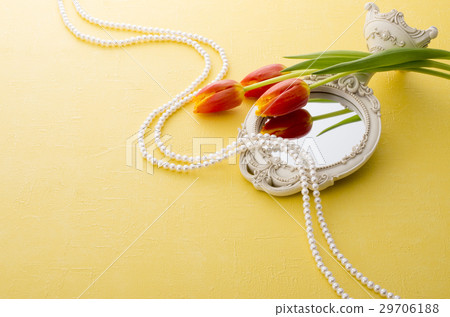 Kagami和郁金香 29706188