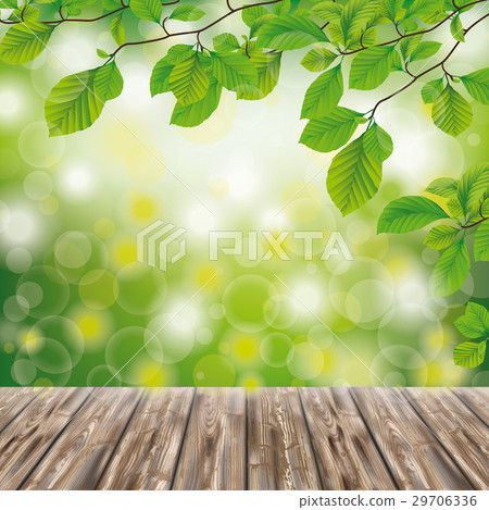 Wooden Ground Green Nature Beech Twigs 29706336