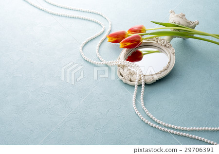 Kagami and tulip 29706391