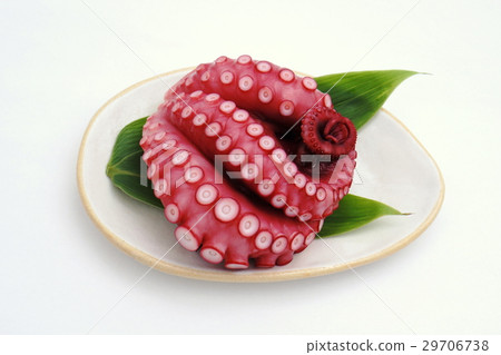 煮章魚 29706738