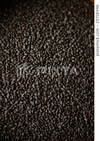 羅勒種子 羅勒種子 29706946