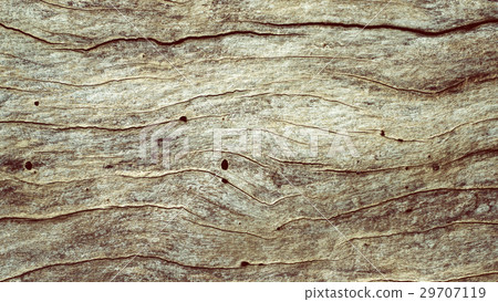 wood texture. Abstract background wood texture. Abstract background 29707119