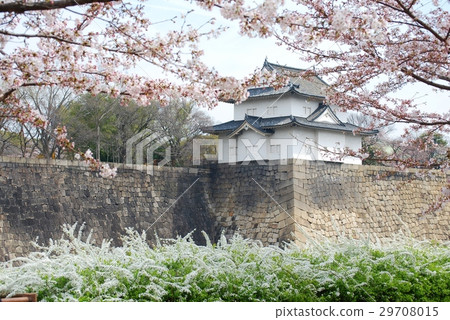 大阪城第六槳和櫻花 29708015