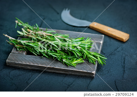 rosemary rosemary 29709124