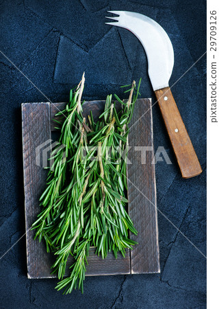 rosemary 29709126
