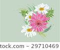 Zinnia flowers  on white background  29710469