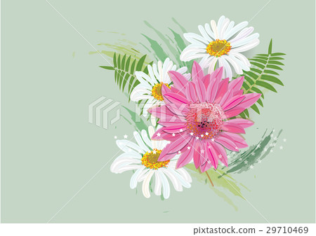 Zinnia flowers on white background - Stock Illustration [29710469] - PIXTA