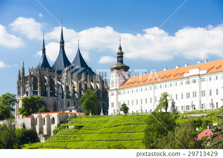 Cathedral of St. Barbara and Jesuit College 29713429