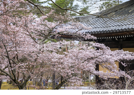 南禪寺 29713577