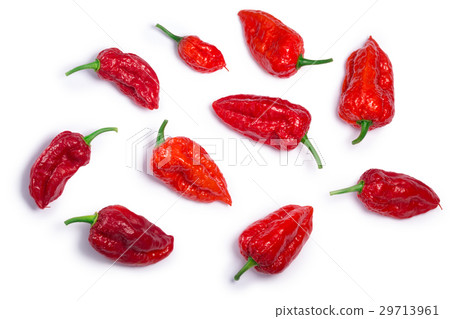 Bhut Jolika ghost peppers, paths, top view 29713961