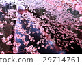 Cherry blossoms at night on Meguro River 29714761