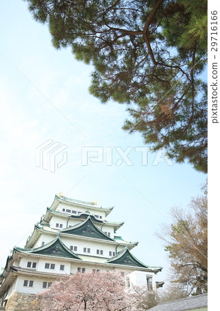 名古屋城堡 29716166
