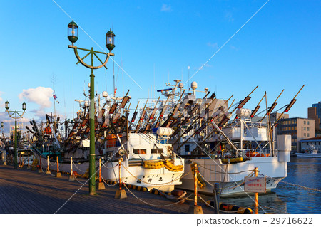 Sanjama漁船停泊在釧路漁人碼頭MOO前 Sanjama漁船停泊在釧路漁人碼頭MOO前 29716622