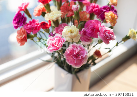 Indoor flower on the windowsill. white vase, pot Indoor flower on the windowsill. white vase, pot 29716831