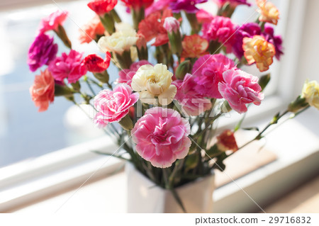 Indoor flower on the windowsill. white vase, pot 29716832