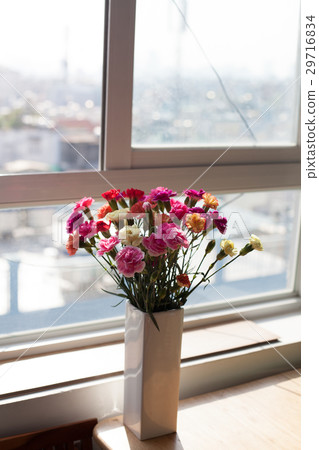 Indoor flower on the windowsill. white vase, pot 29716834