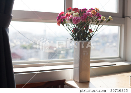 Indoor flower on the windowsill. white vase, pot 29716835