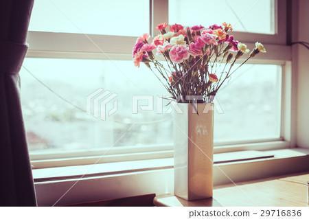 Indoor flower on the windowsill. white vase, pot 29716836