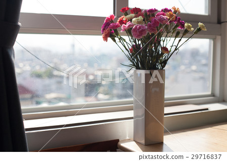 Indoor flower on the windowsill. white vase, pot 29716837