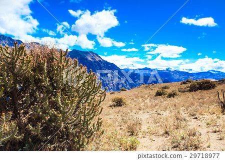 landscape in Andes. Peru. 29718977