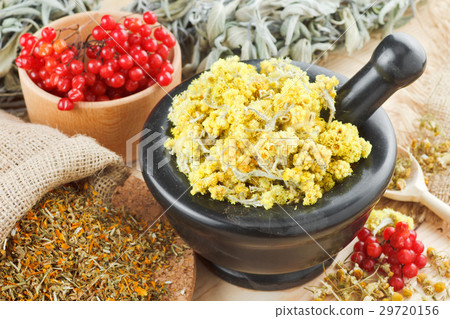 medicinal herbs on table, herbal medicine medicinal herbs on table, herbal medicine 29720156