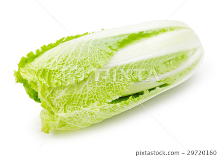 Chinese cabbage On white 29720160