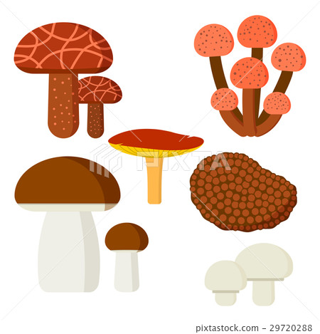Mushrooms for cook food and poisonous nature meal 29720288