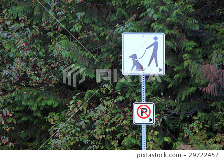 The Sign 29722452
