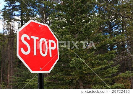 The Sign 29722453