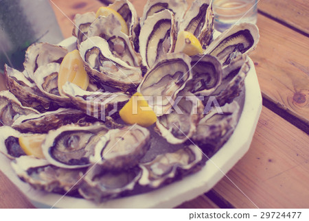 oysters on plate top view oysters on plate top view 29724477