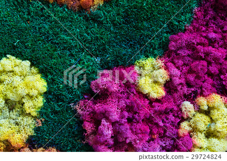 Nature multicolored background 29724824