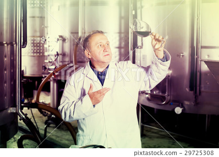 Positive wine maker controls quality of wine 29725308