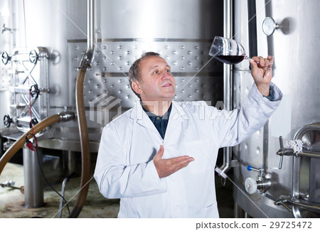 Wine maker controls quality of wine Wine maker controls quality of wine 29725472