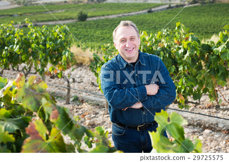 Man gathers grapes Man gathers grapes 29725575