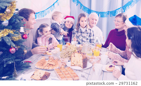 Family members saying toasts during dinner Family members saying toasts during dinner 29731162