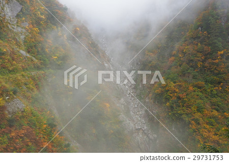 Shizuiya Horizontal sidewalk Downhill corridor 29731753