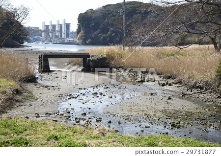 Tidal flat in the forest bay of the Miura Peninsula small retail in spring 29731877