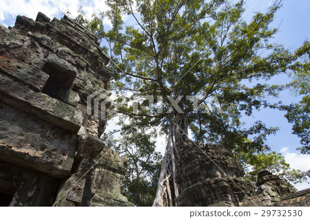 Angkor Ruins Ta Prohm 29732530