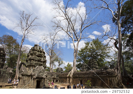 Angkor Ruins Ta Prohm 29732532