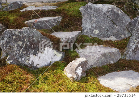 Stone steps plants Stone steps plants 29733514