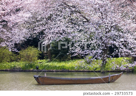Sankeien 29733573