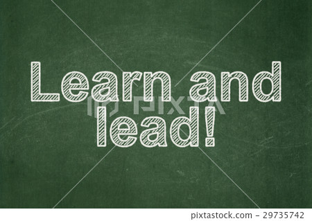 Education concept: Learn and Lead! on chalkboard 29735742