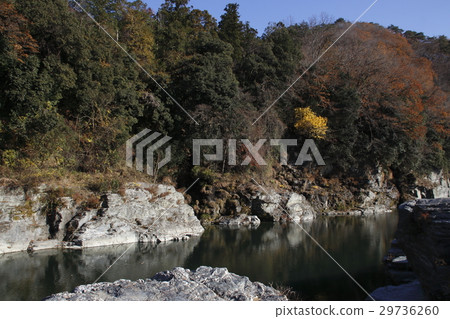 Nagatoro Valley of autumn leaves 29736260