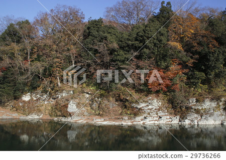 Nagatoro Valley of autumn leaves 29736266